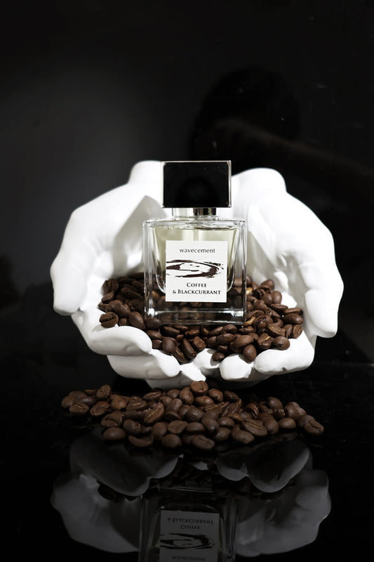 Coffee and Blackcurrant Eau De Parfum | 咖啡雨果